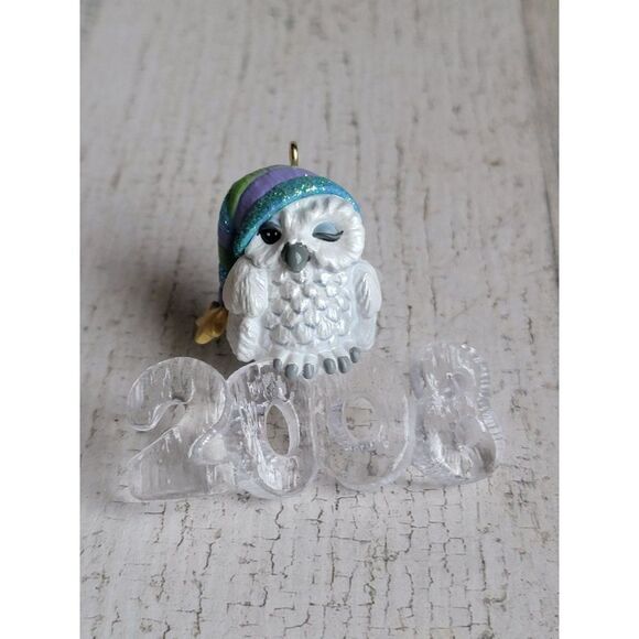 Hallmark cool decade owl 2008 ornament Xmas glitter - Picture 2 of 5